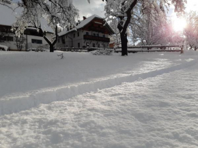 Appartement Fromme Helene Millstatt